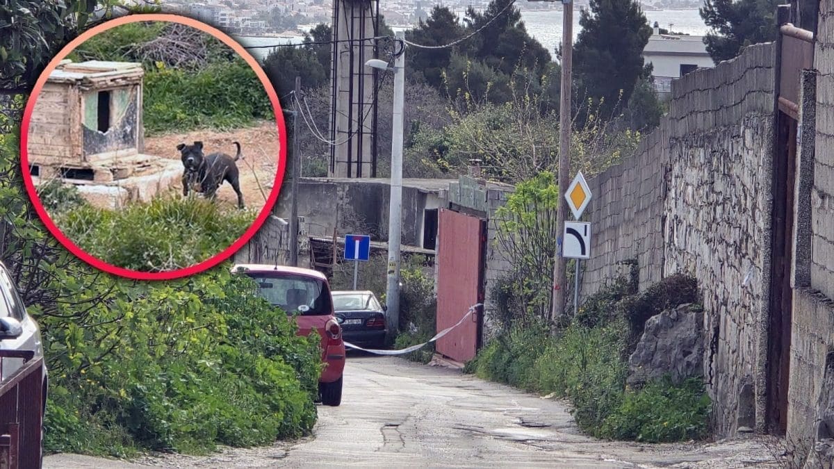 MJESTO STRAVE I UŽASA Ovako izgleda 'splitska mučionica životinja'. Monstrum je držao više od 60 pasa, s ove lokacije su se čuli jezivi zvukovi