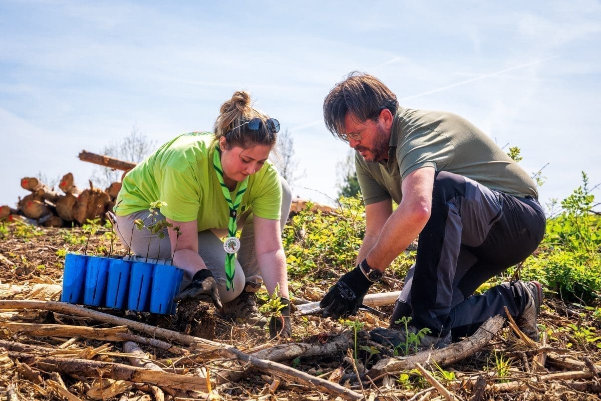 53651318034 25408b26f9 k