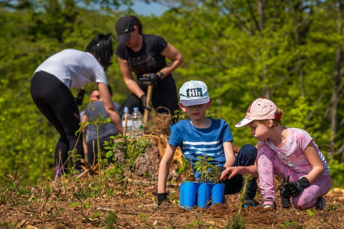 53651476535 9e2c1ff555 k