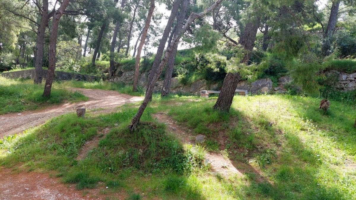 Jadranska straza strozanac4