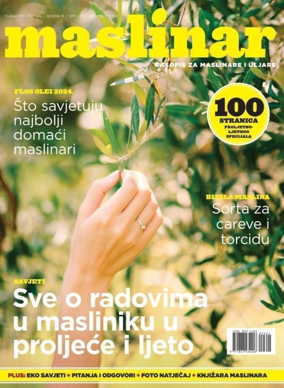 M82 Naslovnica WEB 1123x1536