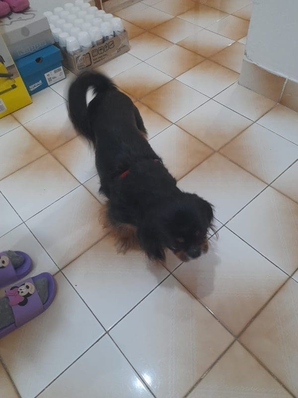 WhatsApp Image 2024 04 03 at 20 33 14