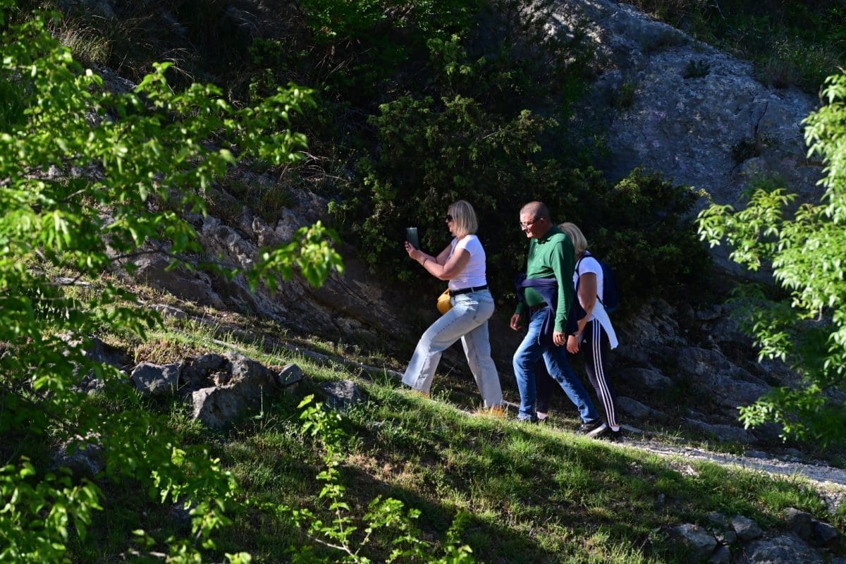 gornji tok np krka 25