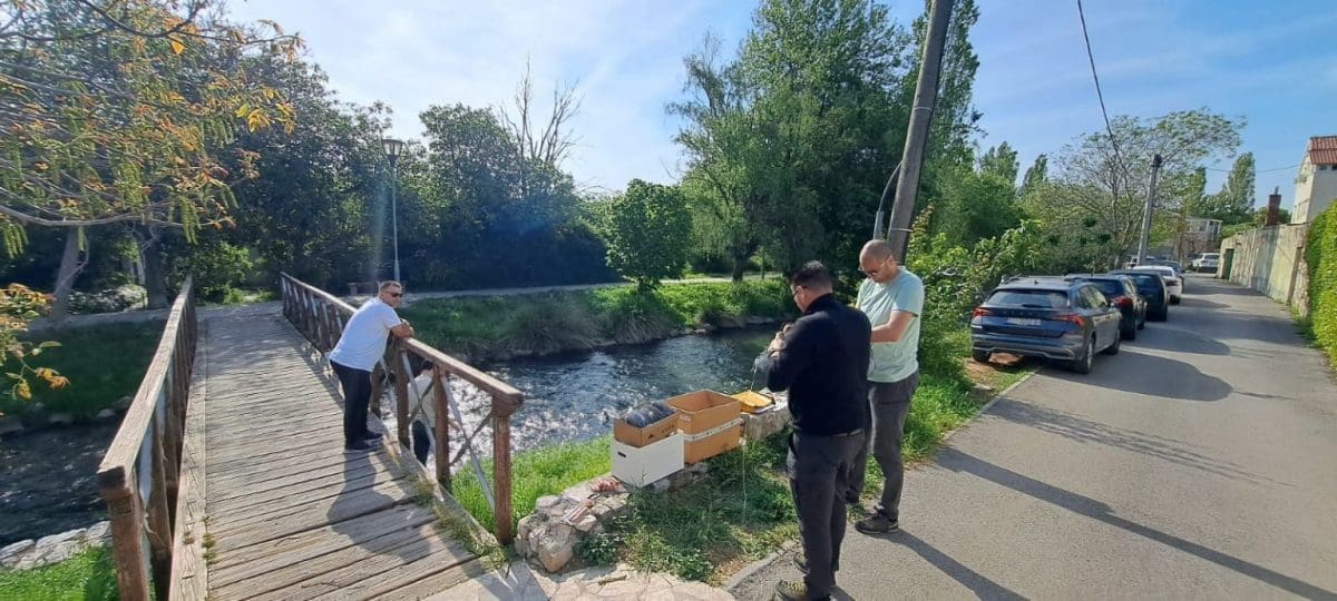 more i krs signalni rak 1 