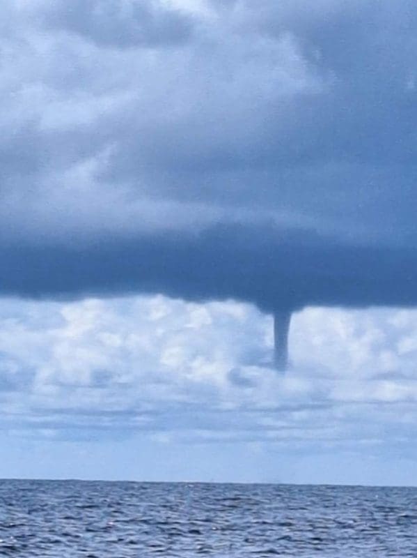 pijavica hvar korcula 1