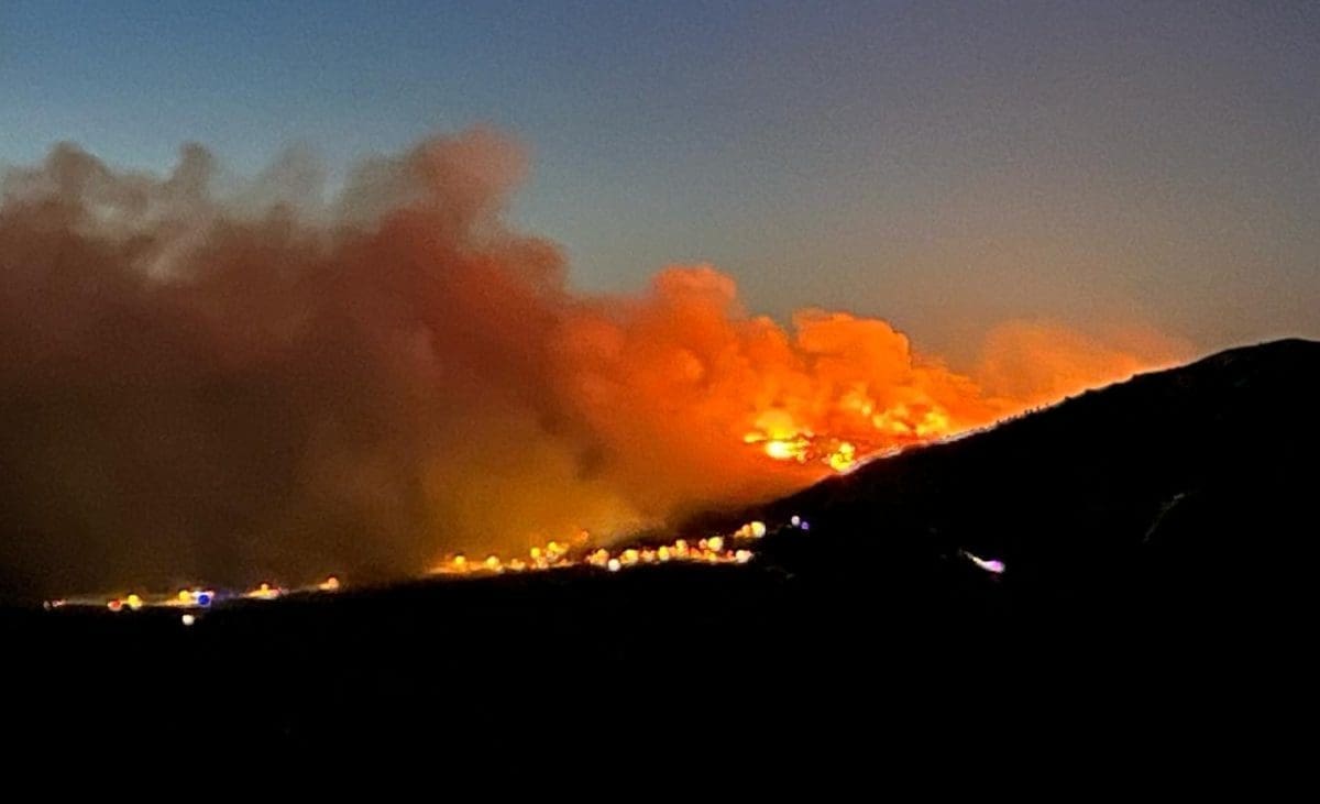 POŽAR GASI 35 VATROGASACA "Vatrena linija je dugačka oko kilometar"