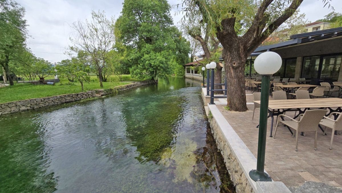 prolaozac zelena katedrala 55