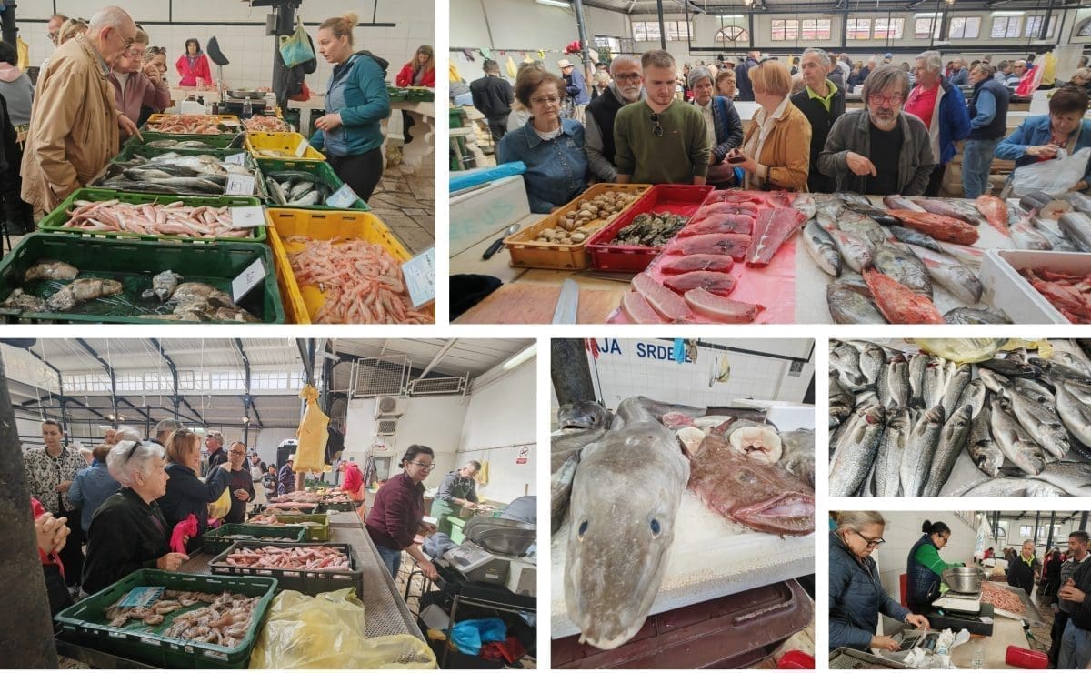 PONUDA NA SPLITSKOJ PEŠKARIJI IZAZVALA NEVIĐENU GUŽVU "Spremit ću ribu na gradela, uz žmul vina. Ne može riba ni čejade bez vina"