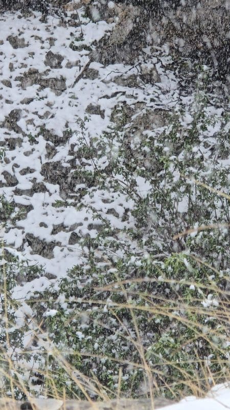 snijeg rade zagora 27