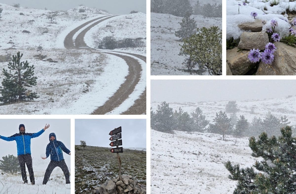SNIJEG U DALMACIJI Prave zimske radosti u Zagori. Na Mosoru je bilo 0 stupnjeva, a evo gdje je prava idila...