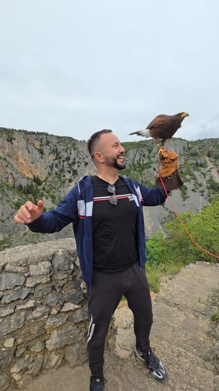 sokolar grgo nikolic155