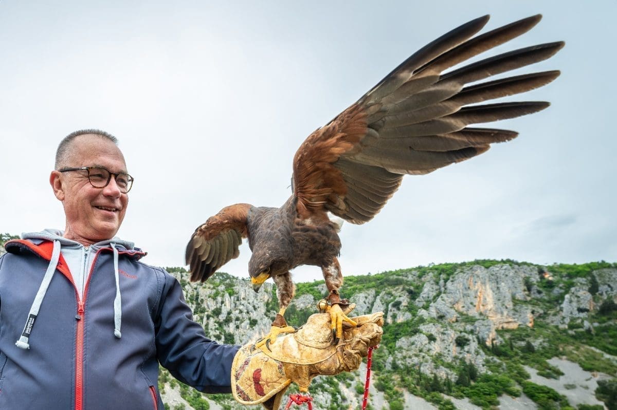 ONE SU PRAVE ČUVARICE MODROG JEZERA Seke i Beatrice su jastrebice koje poznaje cijeli Imotski, a uz Grgu Nikolića su u sigurnim rukama