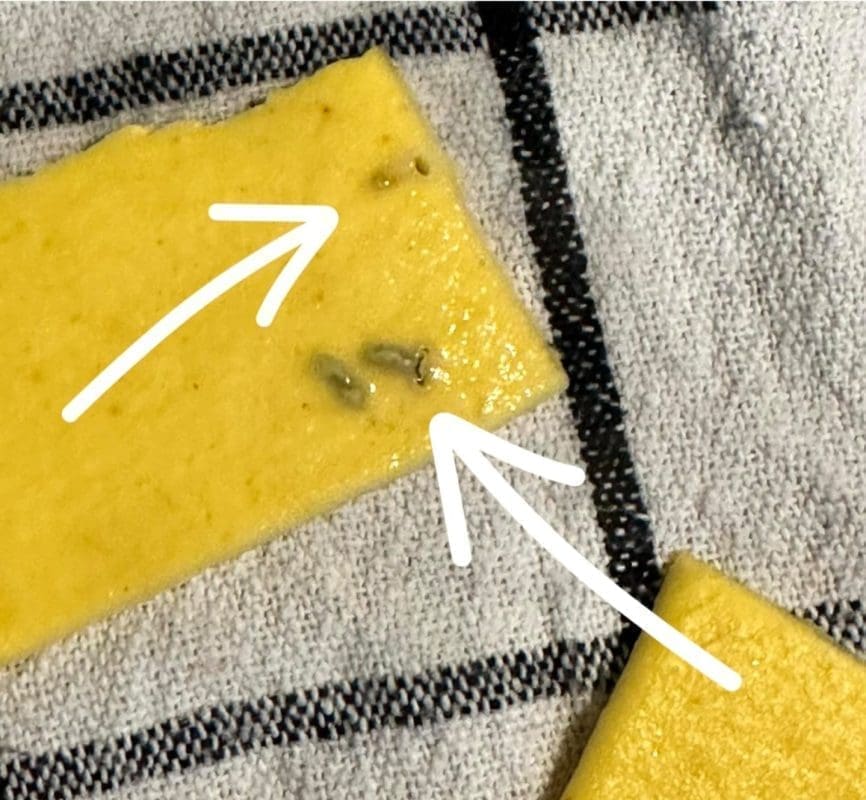 DA TI SE ŽELUDAC 'OKRENE' Pogledajte što je kupac pronašao u tjestenini poznate domaće tvrtke