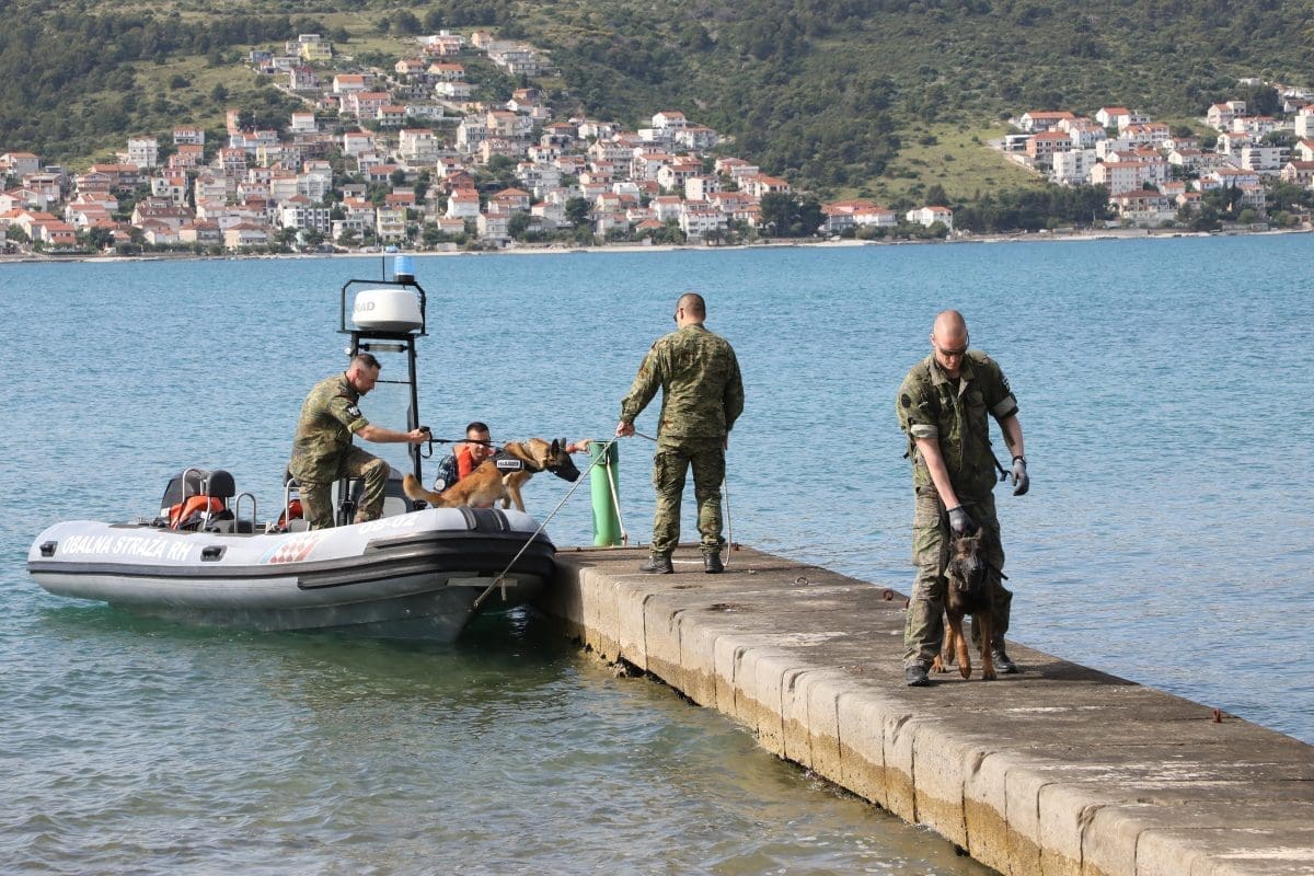 53722237212 4e816bc145 o