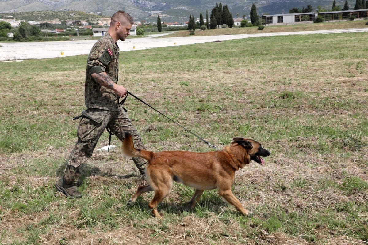 53723351598 a095f9c130 o