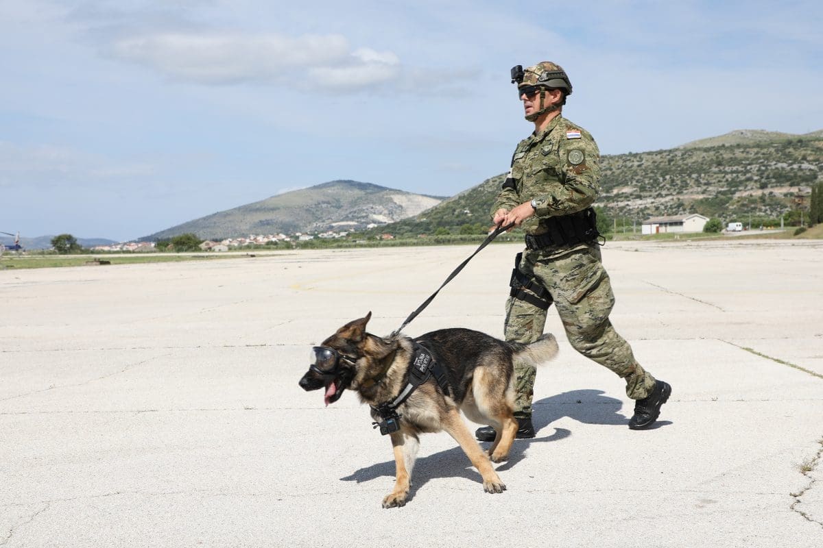 53723478904 cf28aac9eb o