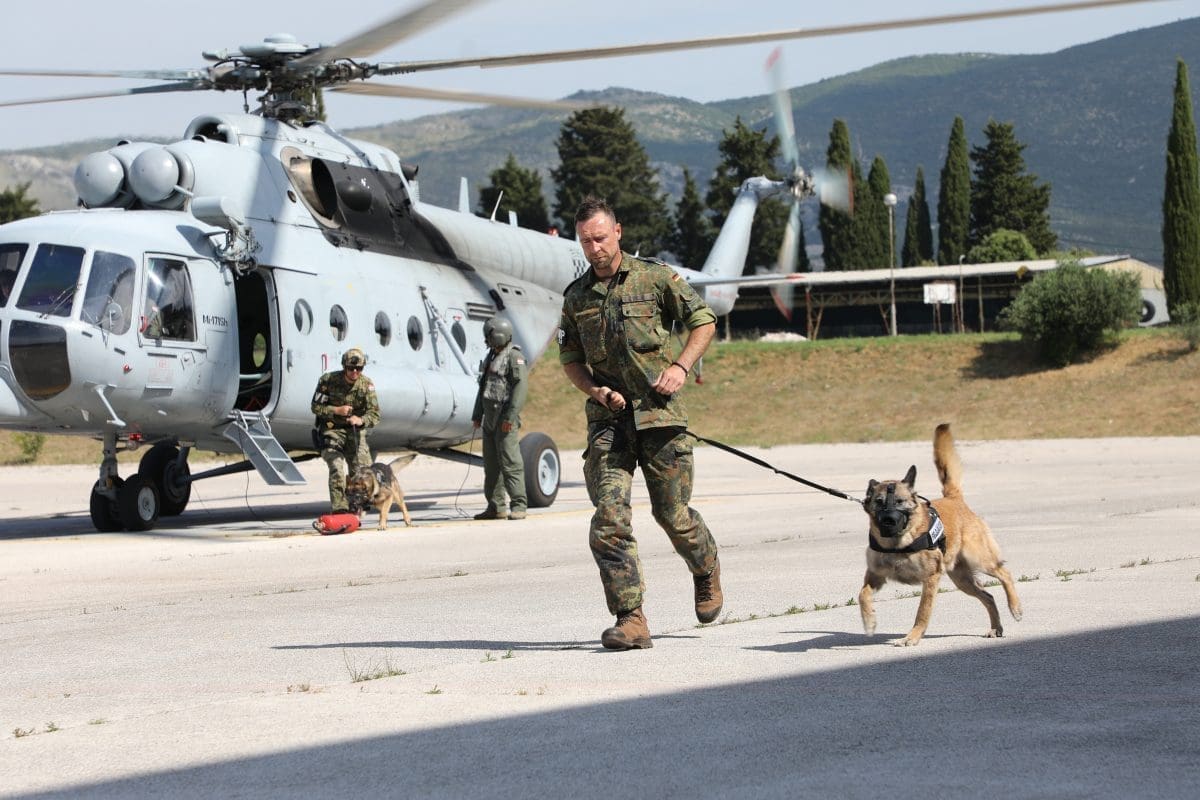 53723572820 c023aee1bc o