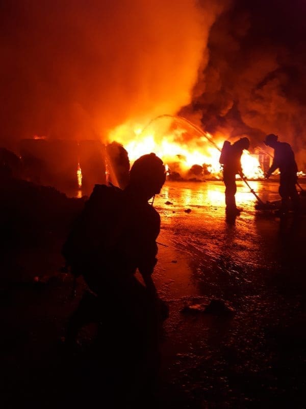 Andrija Sinovcic DVD zrnovnica pozar 1 