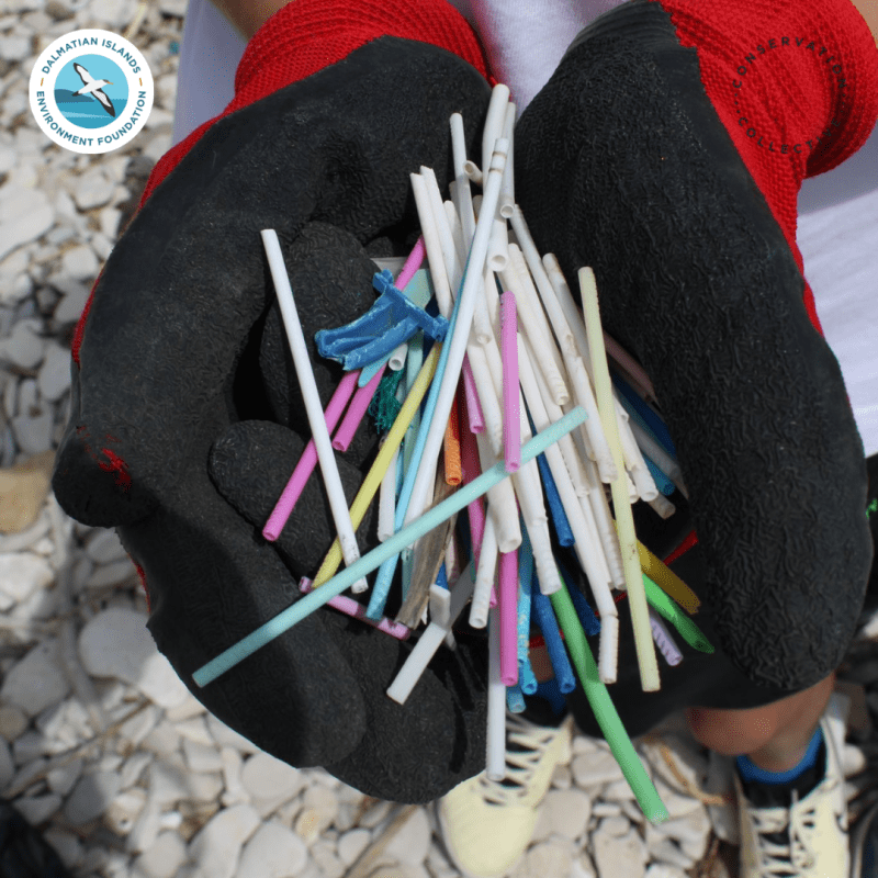 Marine litter free Dalmatian Island 4