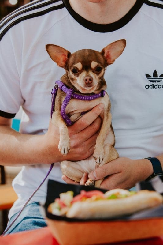 PLACE market   Pazar Split17