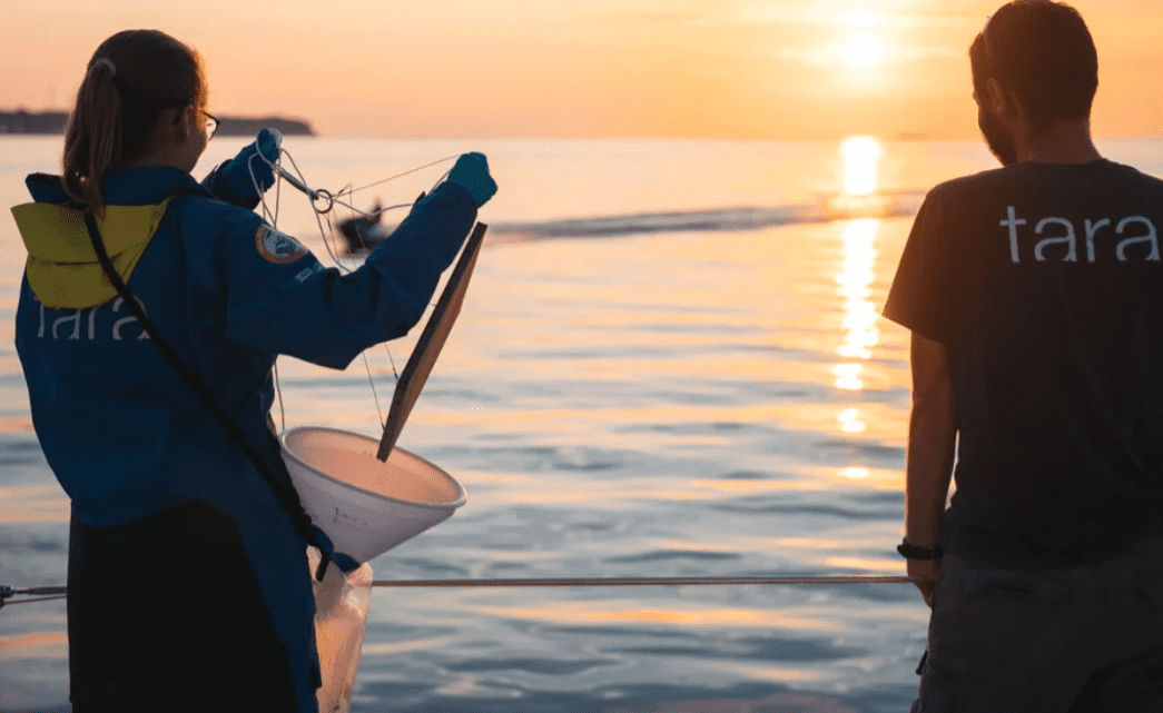 Prva europska znanstvena ekspedicija proučavanja utjecaja čovjeka na priobalna područja stiže u Split