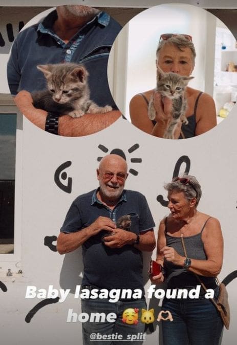 baby lasagna bestie split