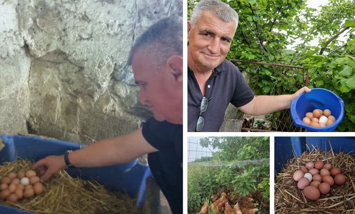 MIRO BULJ POHVALIO SE DOMAĆIM JAJIMA U kokošinjcu se prisjetio Olivera i Borisa