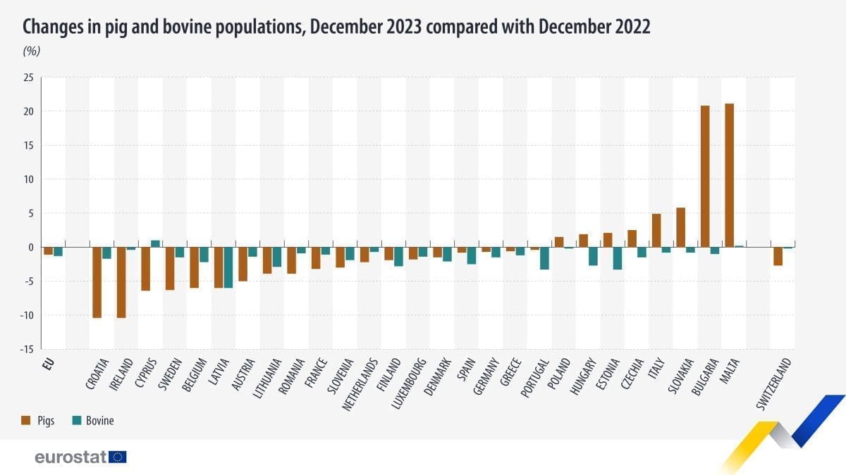 changes pigs bovine 2022 2023