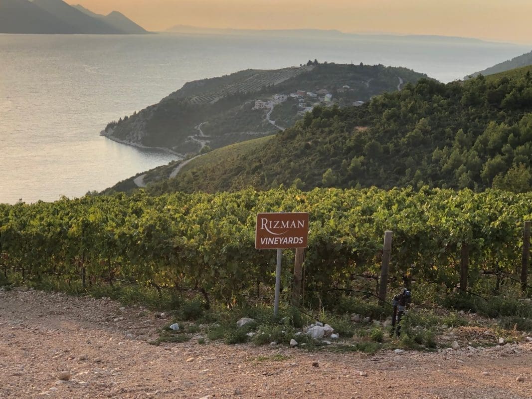 hvMzbAMUR1eUvqJrWfCgBQ