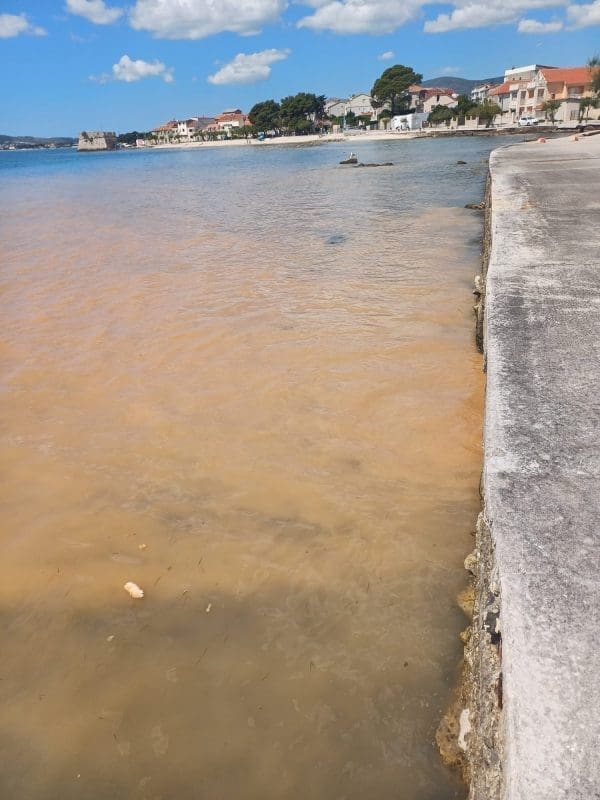 kastela fekalija citatelj