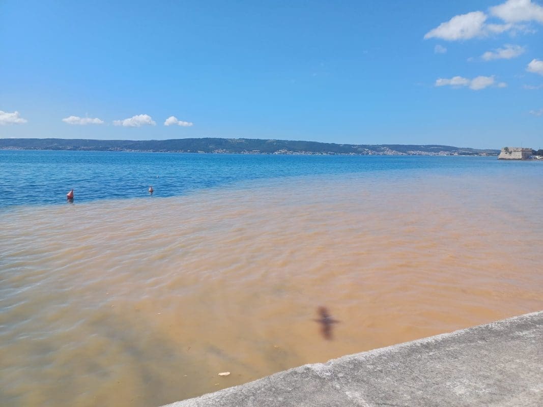 kastela fekalija citatelj1