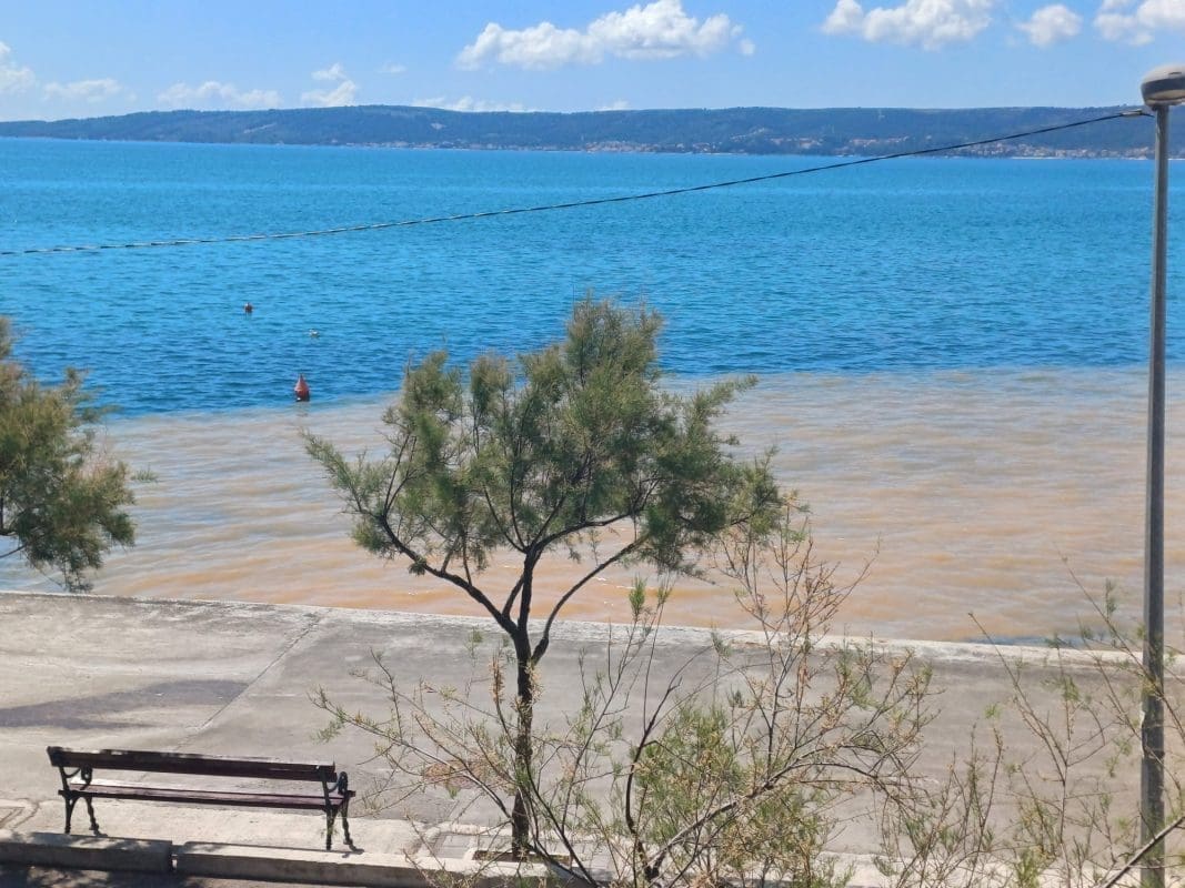 kastela fekalija citatelj2