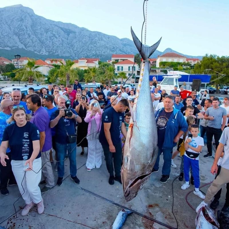 offshore challenge 2024  2 