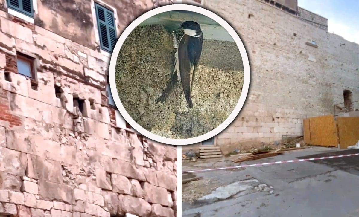 Fejsom se širi video: "Kosorima su zatvorili rupe na zidu Dioklecijanove palače"; Ivošević: "Morbidna laž"