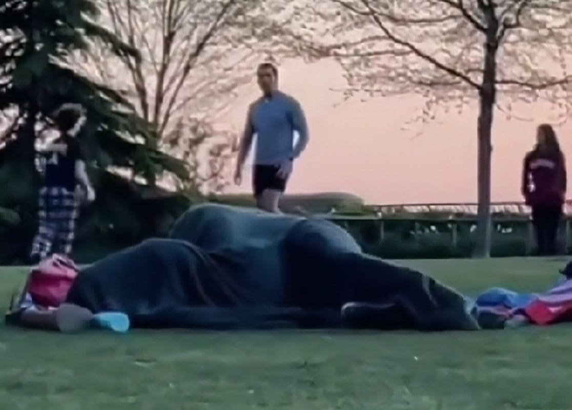 Šokantna snimka proširila se mrežama: Prepustili se strastima pod dekama u parku, oko njih se igrala djeca