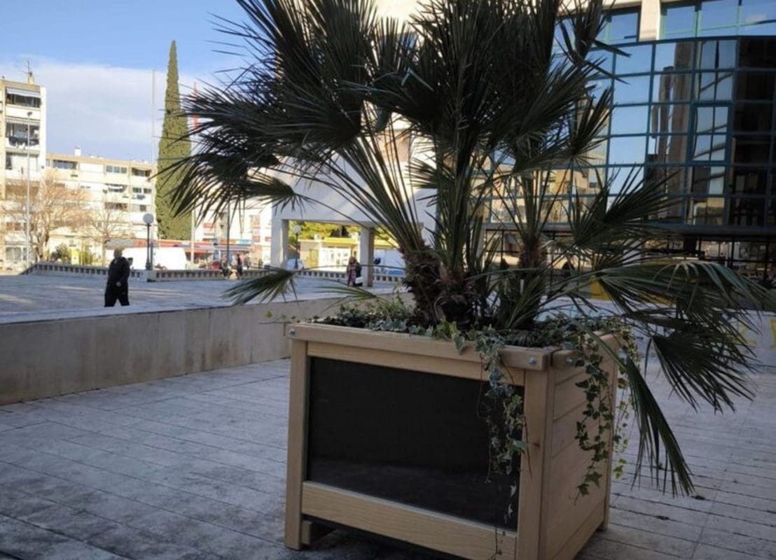 parkovi nasadi pitari