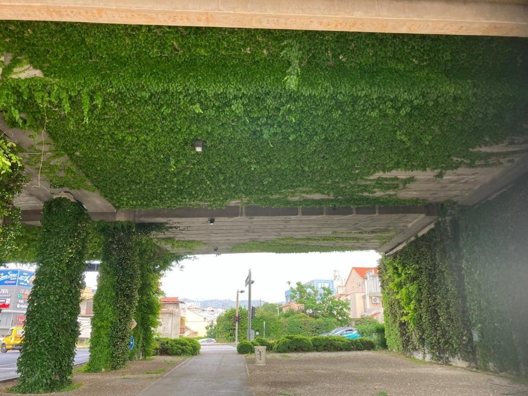 penjcice znadvoznjak2