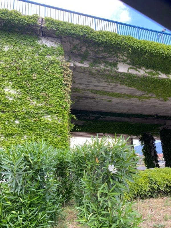 penjcice znadvoznjak5