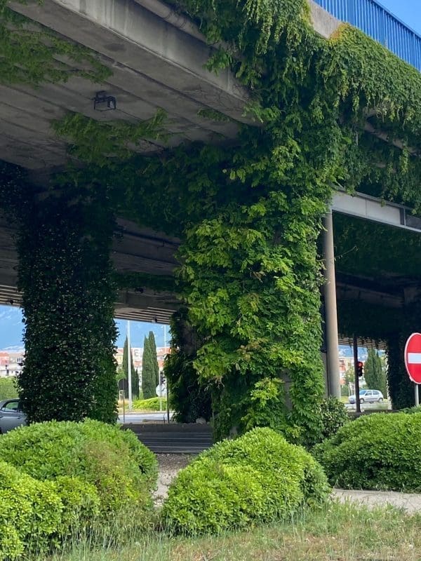 penjcice znadvoznjak6