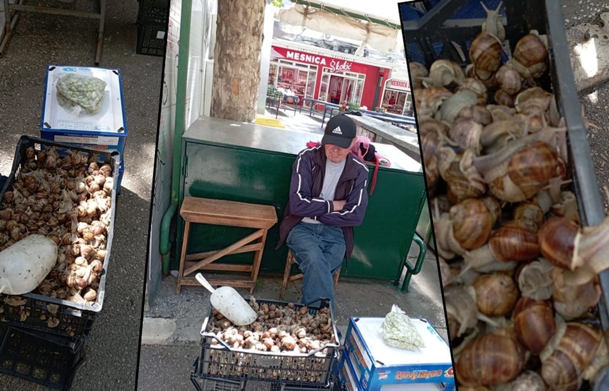 Ovaj čovjek nešto neuobičajeno je prodavao na splitskom Pazaru. Otkrio nam je kako mu ide prodaja: "Više se slikaju, nego što kupuju"