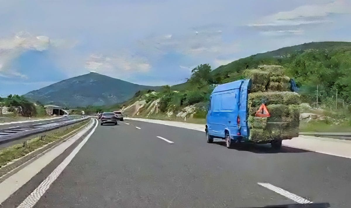 TKO JE NARUČIO SIJENO? Zanimljiv prizor na A1 kroz Dalmatinsku zagoru