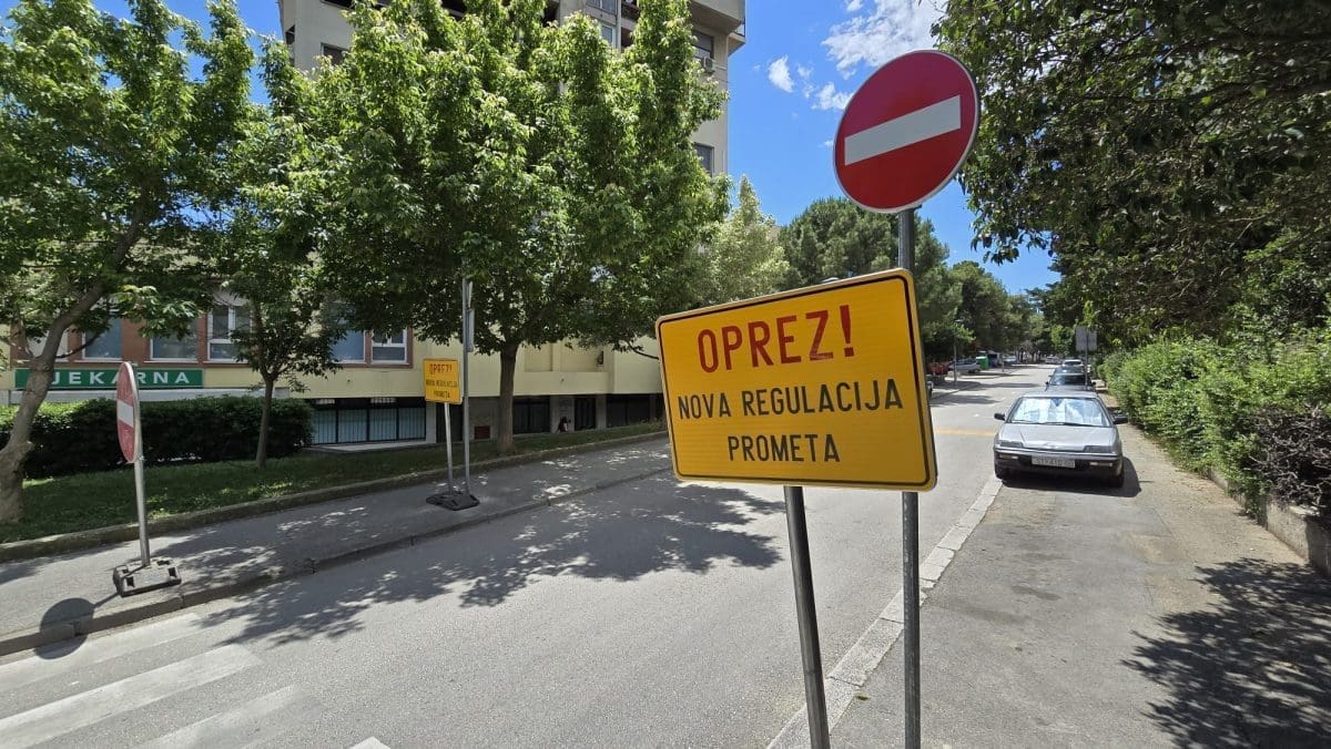 sizgoriceva rade popadic 12 