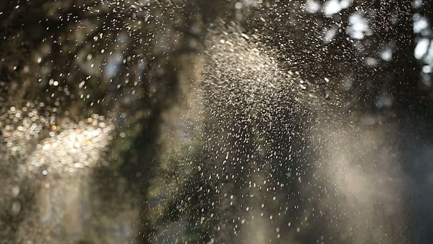 Ovako možete spasiti masline i uštediti vodu