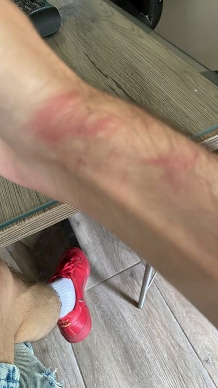 2e26ecaa 61c2 4795 96fa 1d04264c5cd7