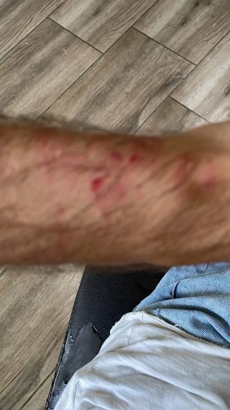 452ac6de 9fee 4b4e bd44 2936f41768be