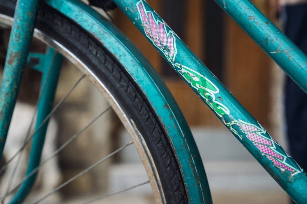 5 31 mirjana aljinovic baka biciklistica 3