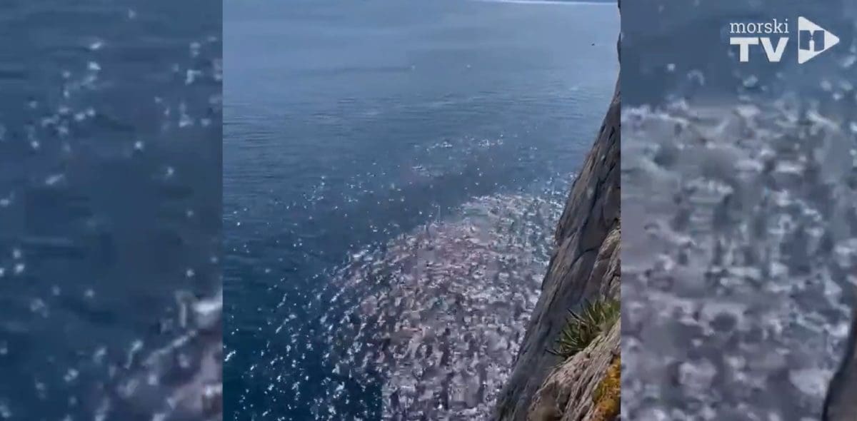 TKO BI SE USUDIO? Dvojica Splićana u Makarskoj snimili opasan skok
