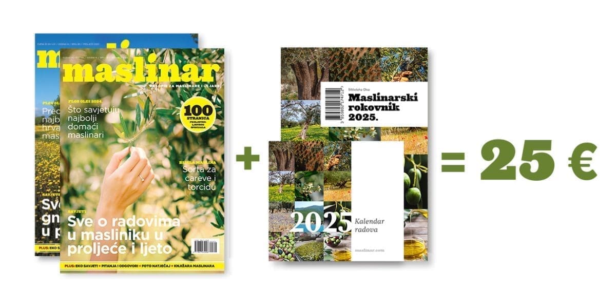 M82 maslinarski paket header