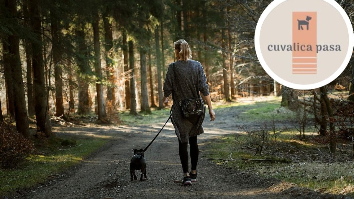 VAŠ LJUBIMAC MORA U ŠETNJU, A VI STE ZAUZETI? Postoji rješenje i za to, Ana dolazi na vašu adresu: "Ovo je isključivo ljubav, a tek onda posao"