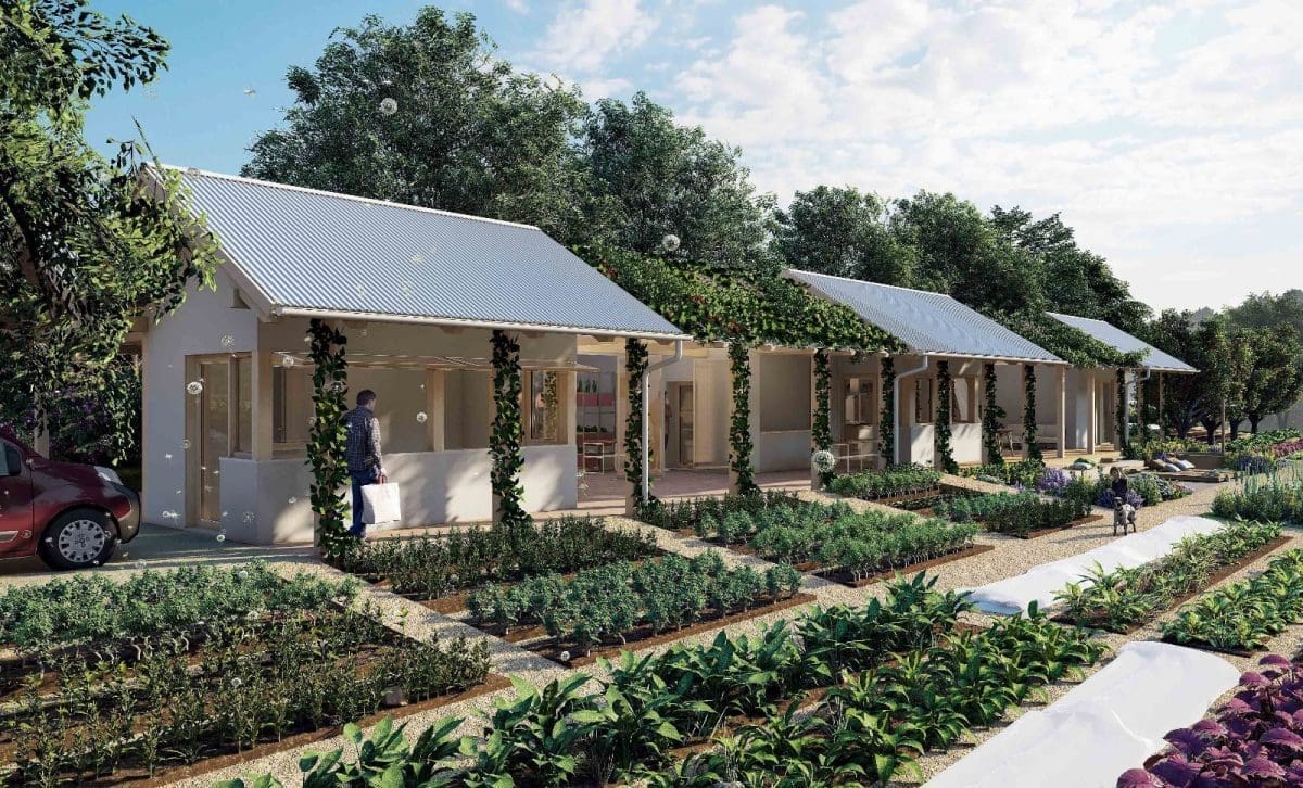 farma bisko odrzivo 1 